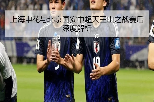 上海申花与北京国安中超天王山之战赛后深度解析