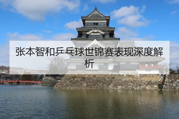张本智和乒乓球世锦赛表现深度解析